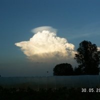 Školka bobulovin